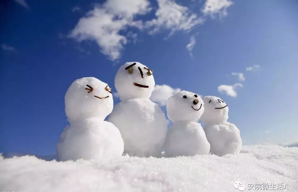 不知道看见这些图片的小伙伴们 有没有想起自己堆雪人时的快乐啊 小编