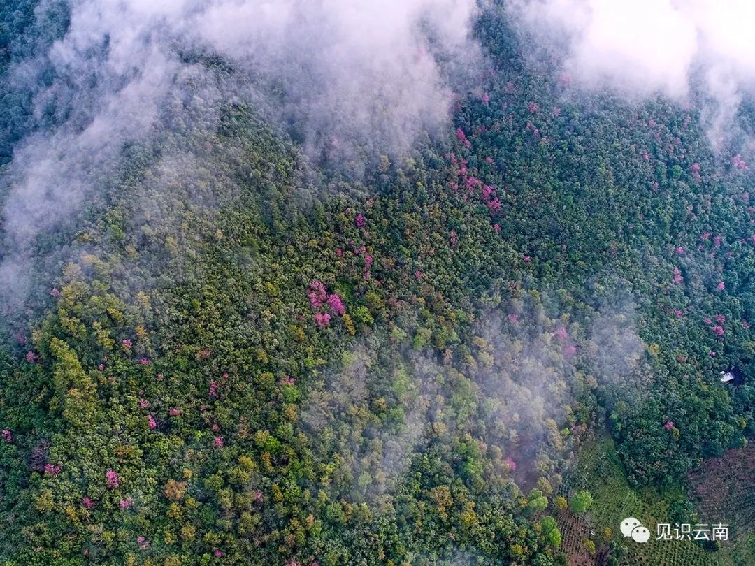 航拍困鹿山的风景