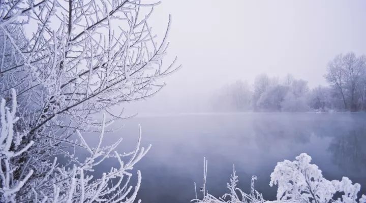 落雪的曲谱_落雪图片唯美(3)