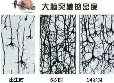 孩子智能发育的5个关键点,你千万不能错过!