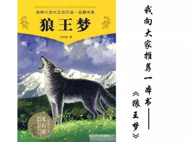 这一期的读书会,我们要分享一本沈石溪的动物系列小说---《狼王梦》