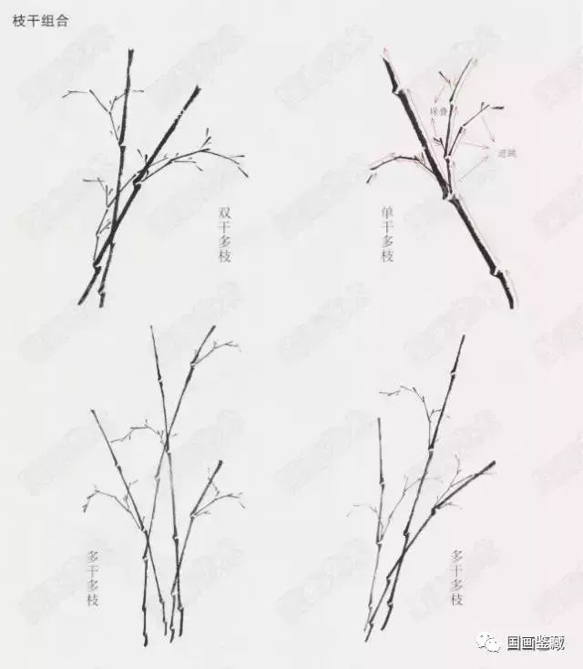 国画竹子写意画法图文教程 竹干竹枝竹叶写意画法步骤