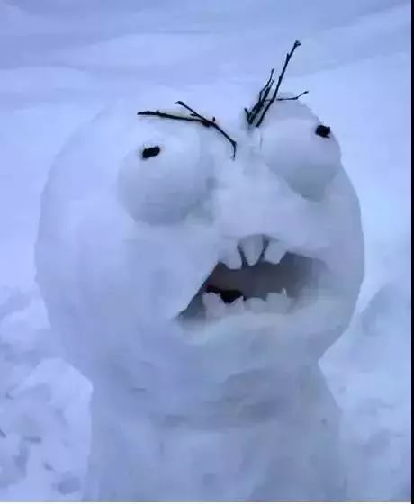 搞笑 正文  这两天全国大雪,朋友圈都被雪景和雪人刷屏了,但是总有一