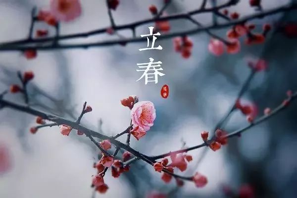 立春描写花的诗