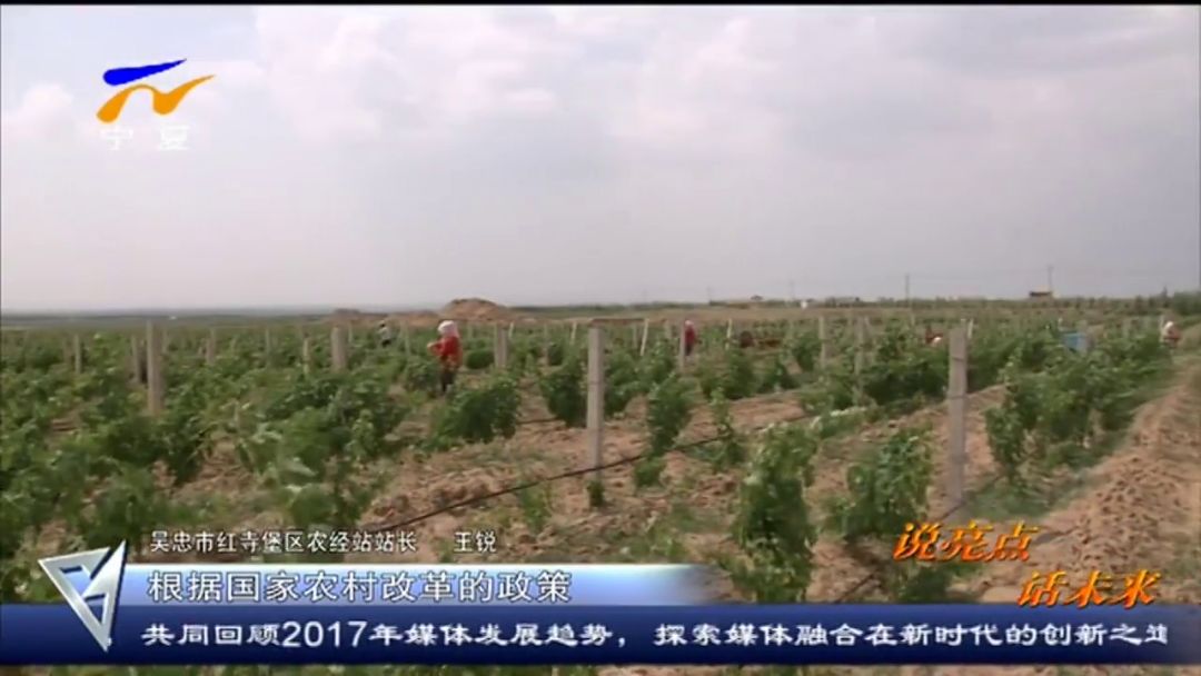 红寺堡区乌沙塘土地股份专业合作社,以自愿有偿的原则,鼓励移民将