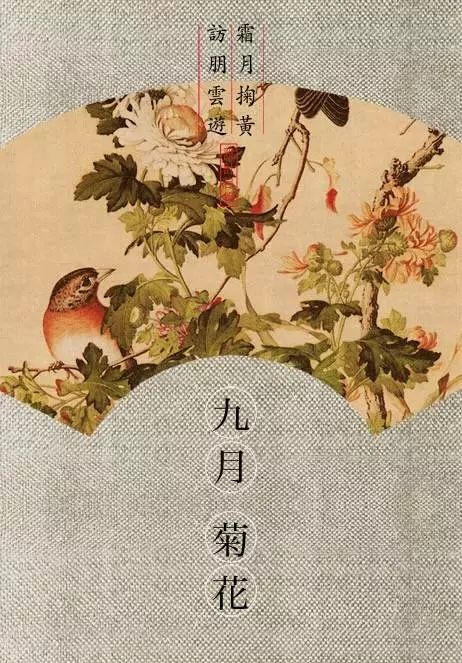 除了二十四节气古人还有十二月花令这是农耕文明最美的月历