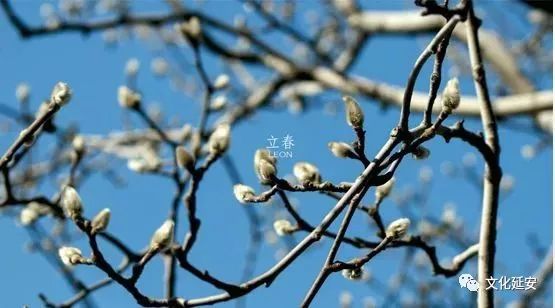 农历:腊月十九 丁酋【鸡】年 甲寅月 丁卯日 立春  减字木兰花·立春