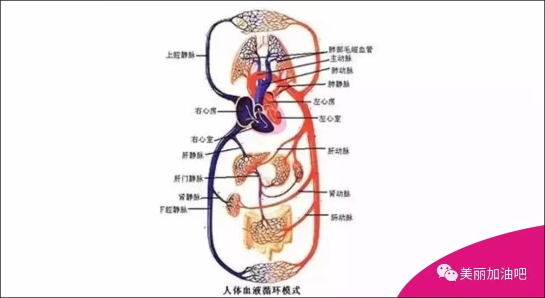 长治县宏智中学董事长