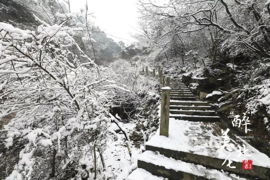 九峰山封山雪景,你一定没见过!