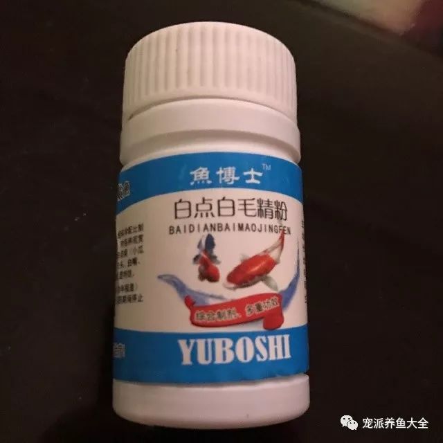 师傅带徒弟心得和经验_买鱼经验心得_彩叶万年青经验心得