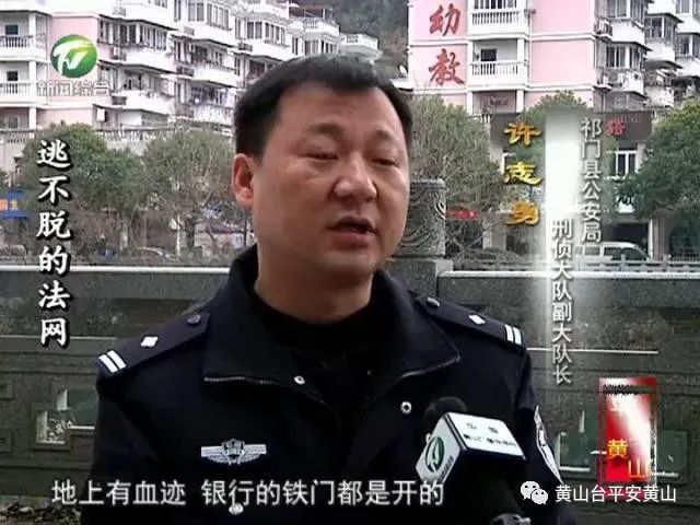 越狱17年落网老总_越狱兔图片