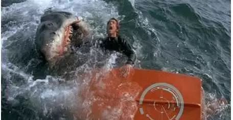 惨烈的鲨鱼吃人事件,惊险的死里逃生