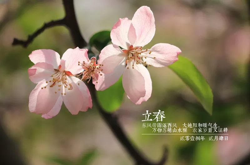 一大波美图来袭!从立春到大寒,看遍矿大24节气赢新年台历