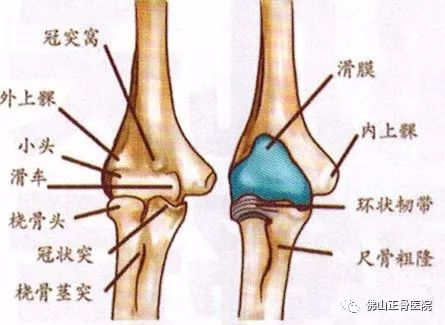 【真实案例】无需手术,中医正骨手法整复肘关节恐怖三联征