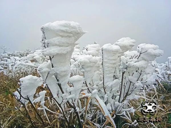 这个冬天不止是寒冷还有贵港平天山挂冰雪景