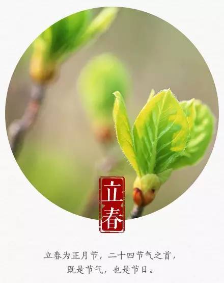 东风来了,春天的脚步近了……今天,我们迎来了今年第一个节气"立春"