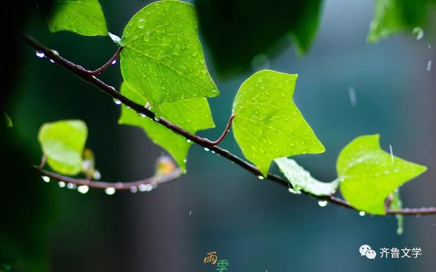 江西作家||【雨季的冬天】◆戴建华