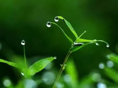 春雨贵如油