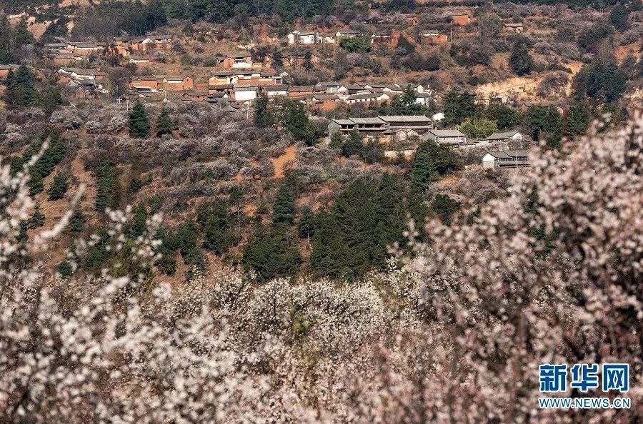 洱源县人口多少_洱源县地图