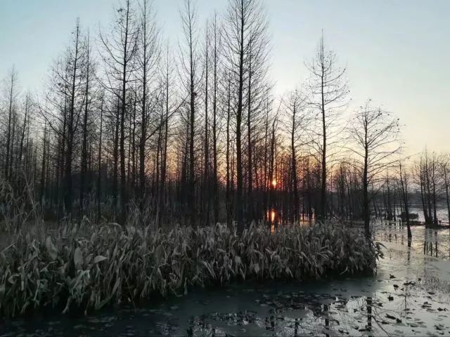 撷趣 师院小伙伴们镜头下的家乡冬景是怎样的?