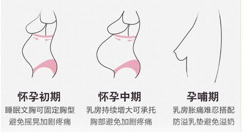 目前中国孕期哺乳期人口比例_中国哺乳期膳食宝塔