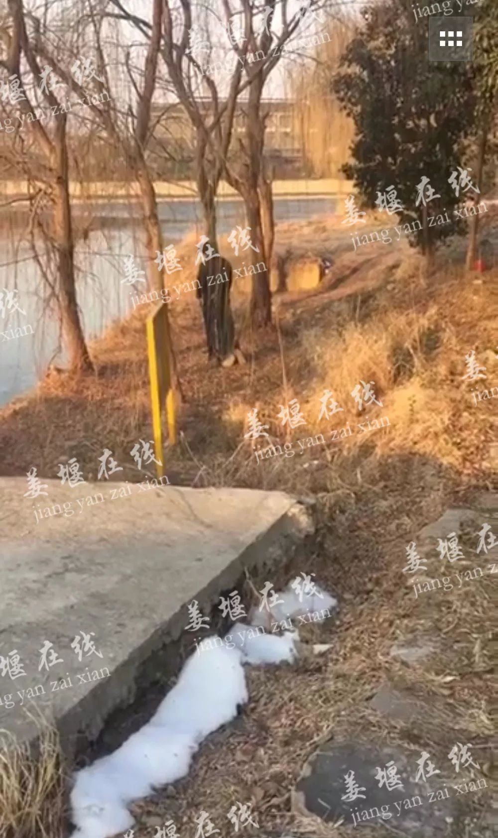 泰州溱潼一河边发现一具男尸,穿戴整齐疑上吊自杀