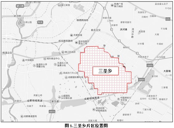 国策视点||成都市三圣乡片区商业房地产市场调查报告