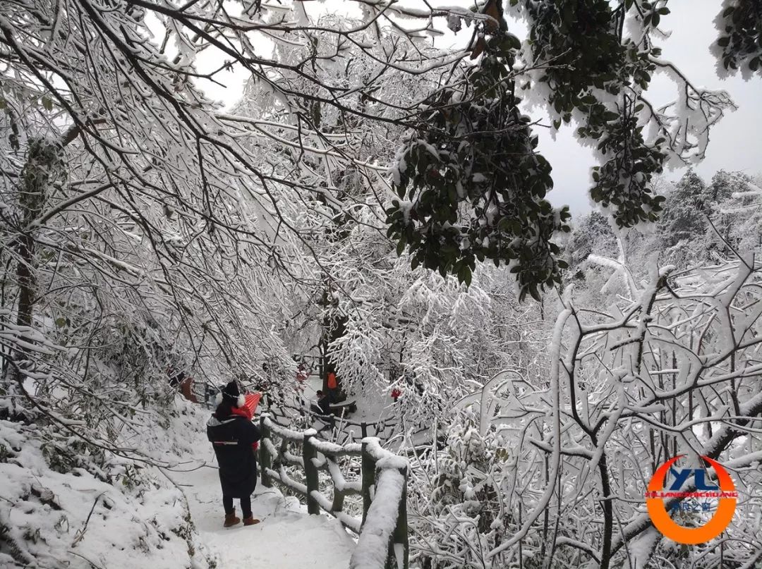 昭通彝良小草坝景区:冰雪美如画!