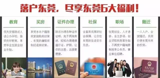 中国第一财经信息网