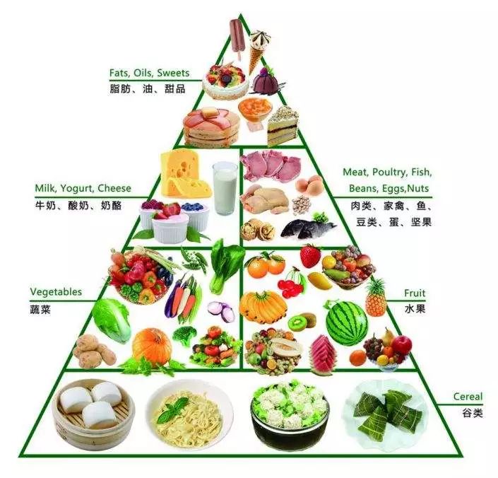 健康饮食金字塔