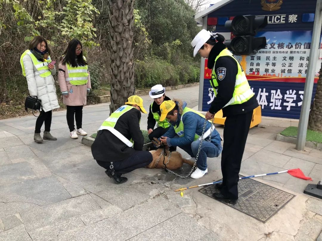 贩卖女警人口小说_人口贩卖(2)