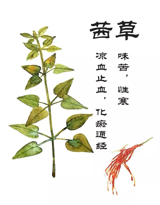 茹藘即茜草.性寒,味苦,归心,肝经.