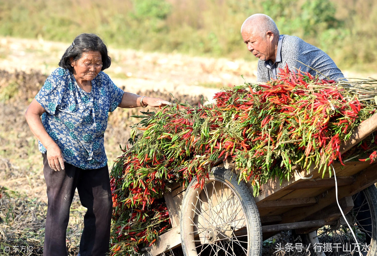 9张农村留守老人的照片,快过年了,漂泊在外的游子回家