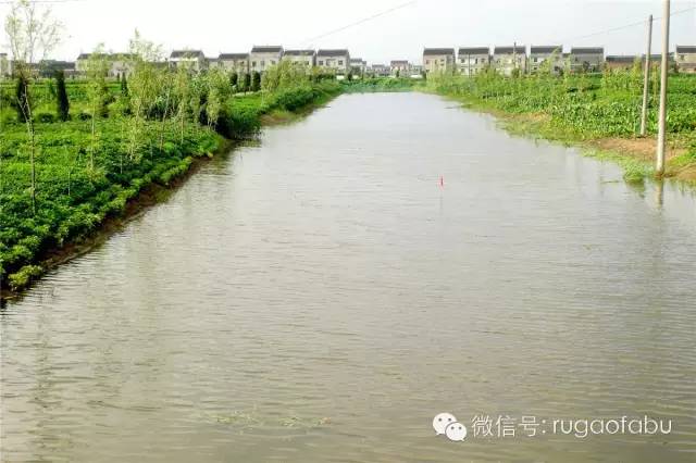 江安镇徐柴村▲高新区(城南街道)宋家桥社区▲搬经镇鞠桥社区▲经济