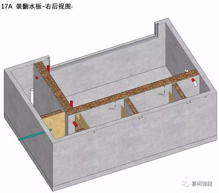 三维锦鲤鱼池建造步序图鱼友鱼池过滤必读