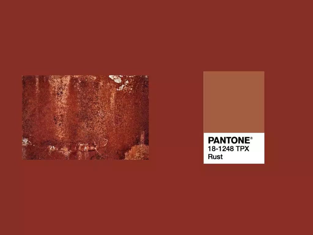 pantone 色卡上的 rust(铁锈)的颜色是下面这样的,偏橘色,怎么看都和