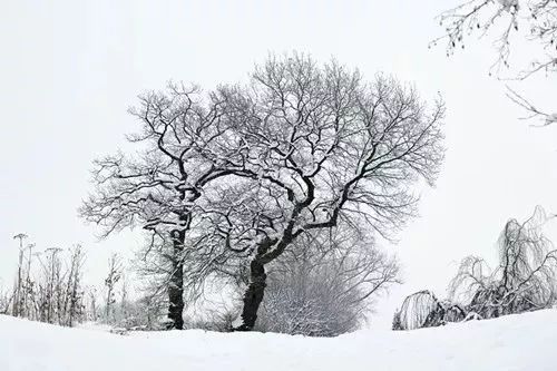 霁雪【唐】戎昱 风卷寒云暮雪晴 江烟洗尽柳条轻 檐前数