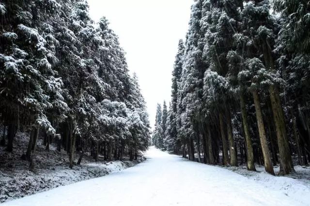 里大雪纷飞 那,你呢 摄影,文字:甘晗轩 责编:罗喆 美编:钟晗,吴彦晓