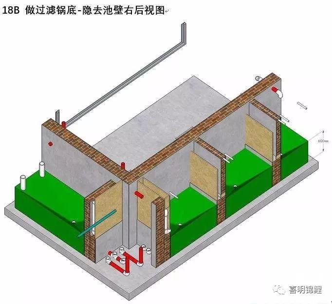 三维锦鲤鱼池建造步序图——鱼友鱼池过滤必读!