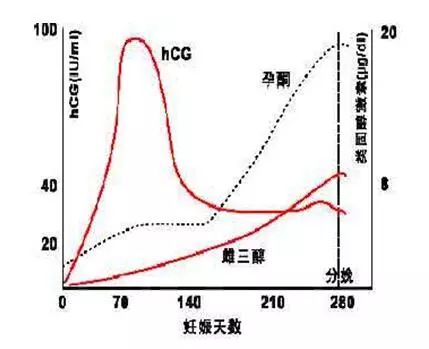 正常妊娠时,在孕卵着床后数日血清hcg升高,随孕周增加而不断升高,在孕