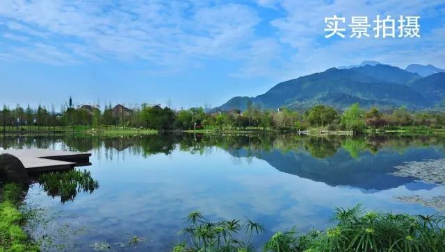 峨眉青庐:泡上一壶茶,远眺门前如黛青山