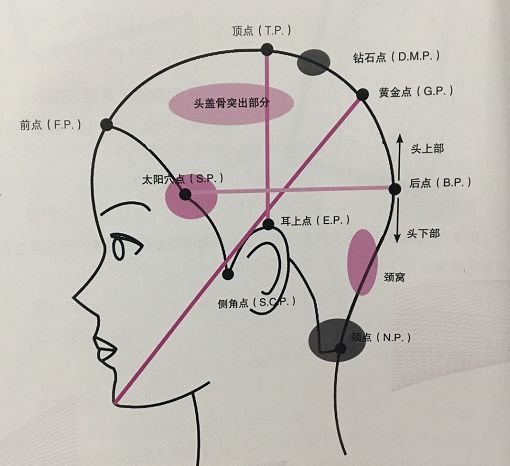 连载12头部的点和线