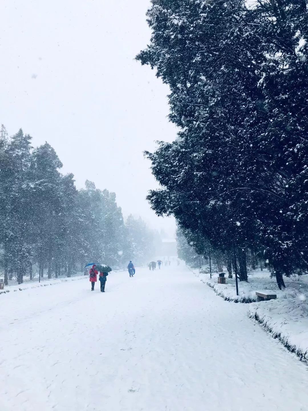 美爆了!大成带你看看橙子们家乡的雪景!