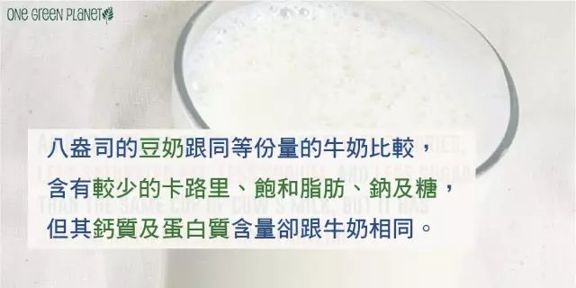 乳糖不耐症佔人口比例_乳糖不耐症大便照片