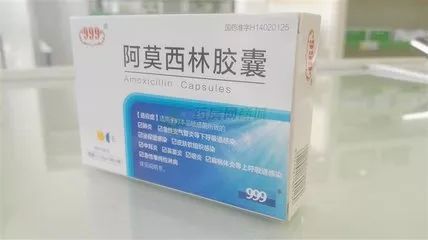 阿莫西林的临床治疗药理