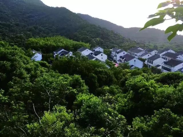 苏州树山村-时光珀·树山花居