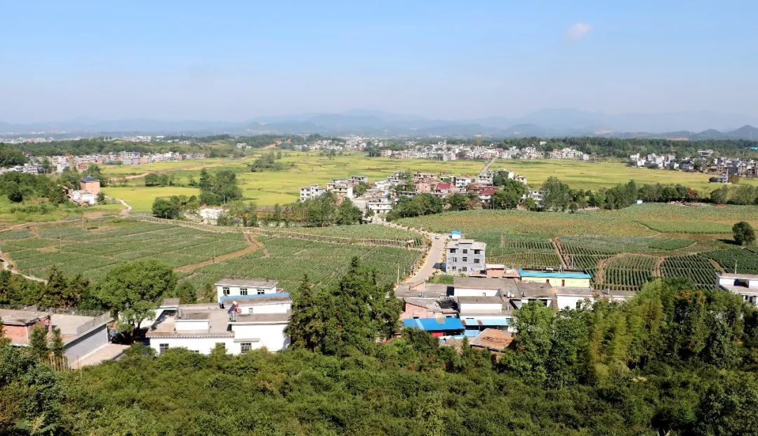 乡村振兴上栗幕冲村农民抱团做旅游把穷山村变成了旅游村