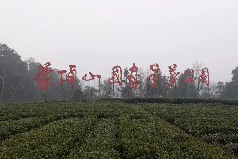 雅安总人口_雅安职业技术学院