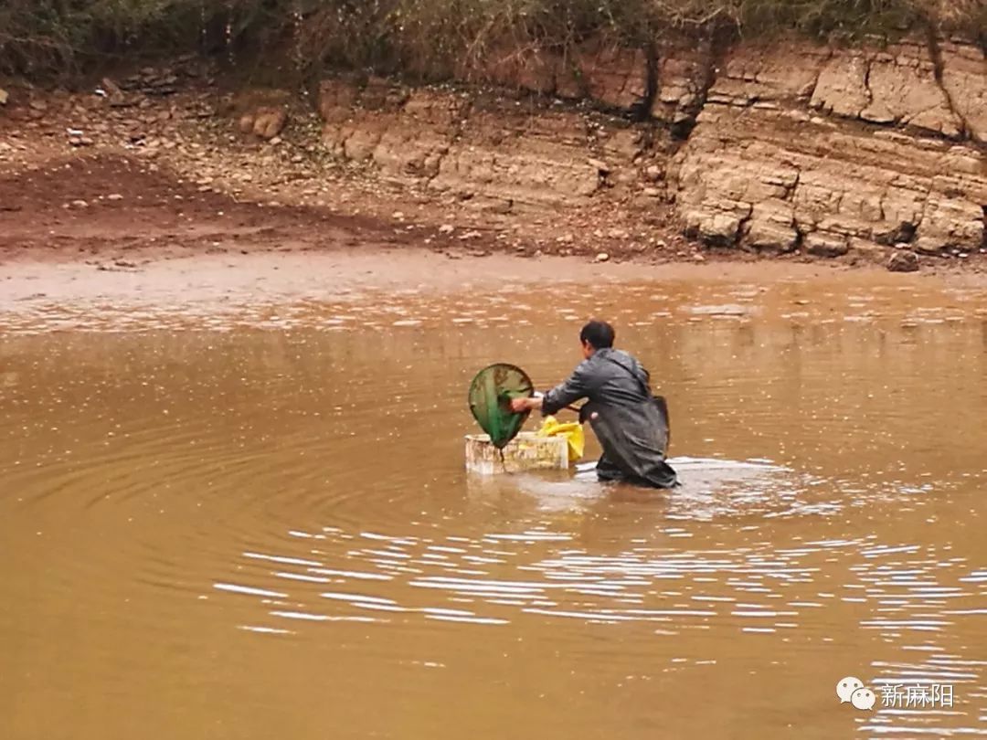 穿起这雨裤下水,虽说雨裤不重,水已不深,然而我还没往水库中心走多远