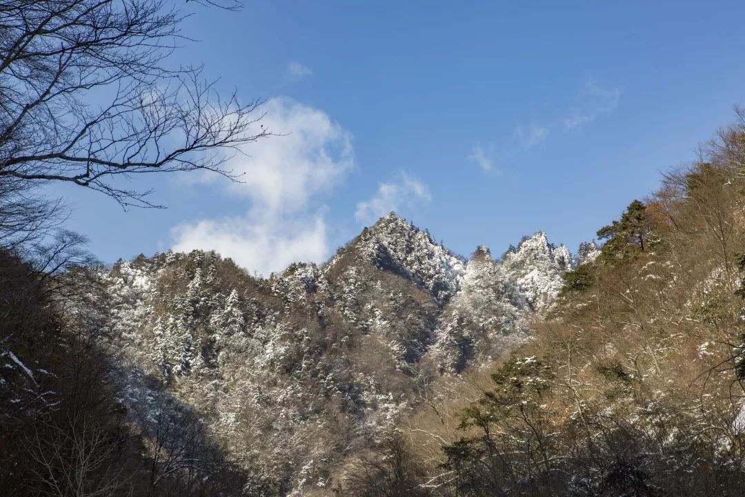 勉县云雾山林海雪原似童话世界